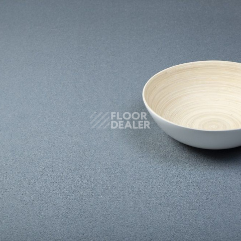 Condor  Magic 181 фото 2 | FLOORDEALER